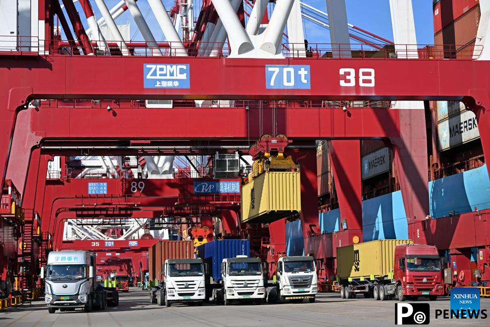 Shandong promotes integrated reform and development of coastal ports