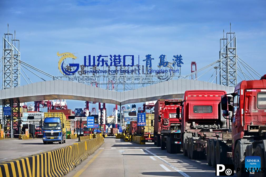 Shandong promotes integrated reform and development of coastal ports