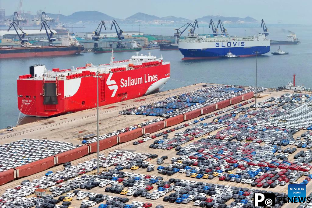 Shandong promotes integrated reform and development of coastal ports