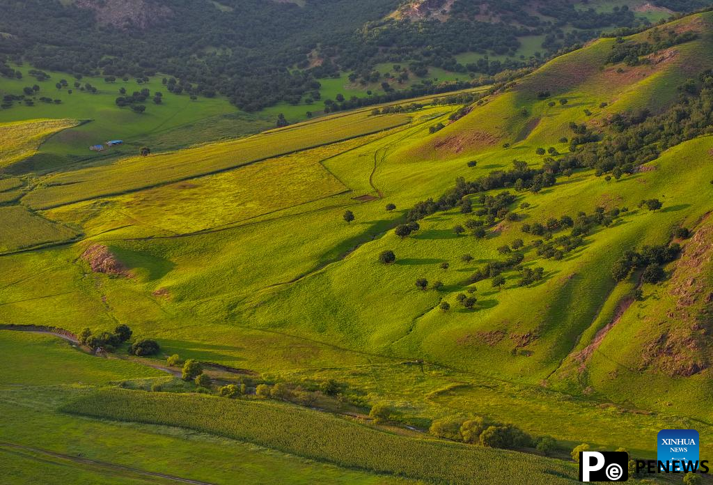 Sunset scenery at Wulanmaodu pasture in Inner Mongolia