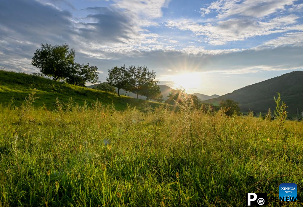 Sunset scenery at Wulanmaodu pasture in Inner Mongolia