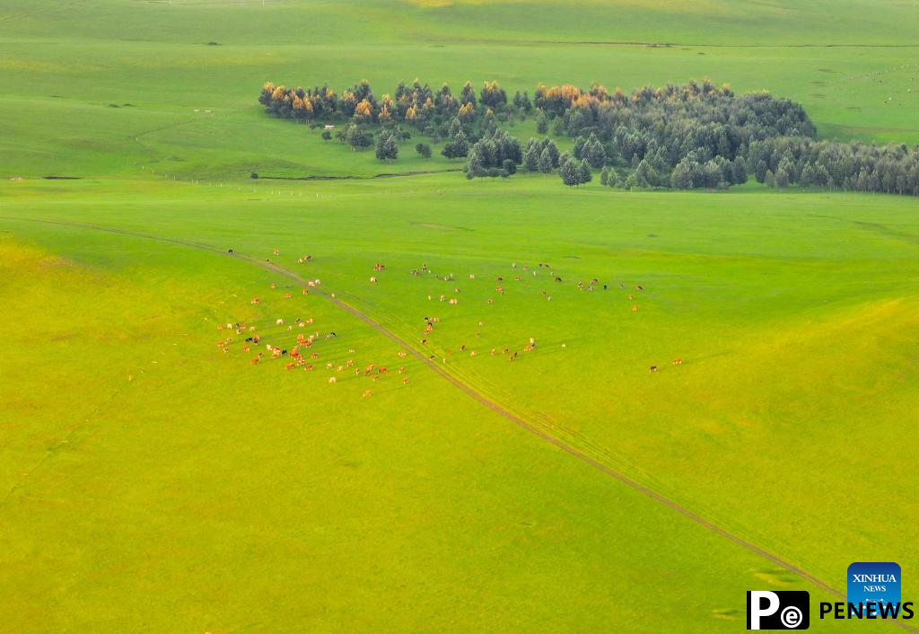 Sunset scenery at Wulanmaodu pasture in Inner Mongolia
