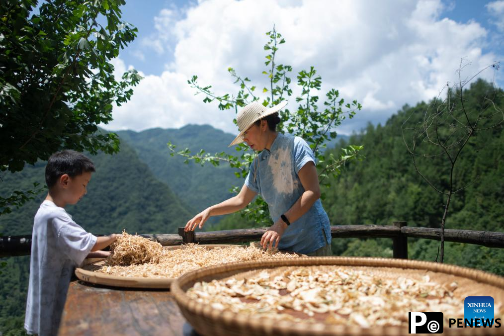 Tourism booms in Shennongjia Forest District, C China