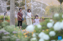 Quarry-transformed mountain park in Beipiao provides summer resort for visitors in Liaoning