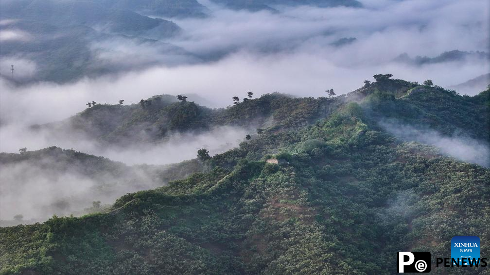 Scenery of Great Wall shrouded in clouds in Hebei
