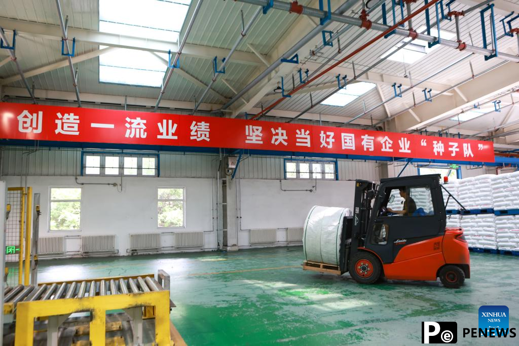 quality development of petrochemical industry