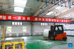 quality development of petrochemical industry