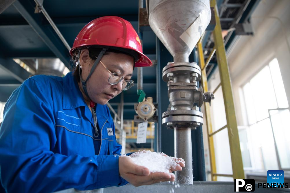 quality development of petrochemical industry