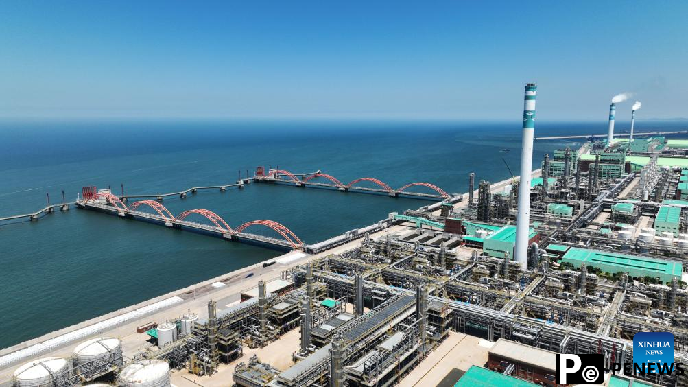 quality development of petrochemical industry