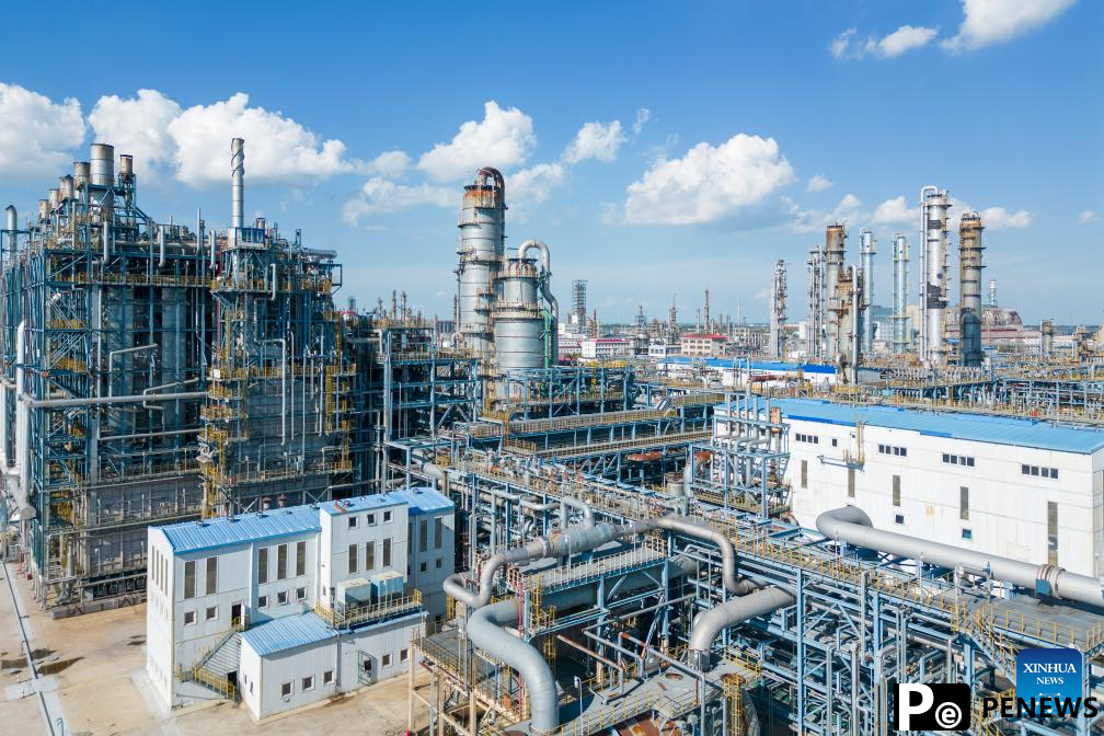 quality development of petrochemical industry
