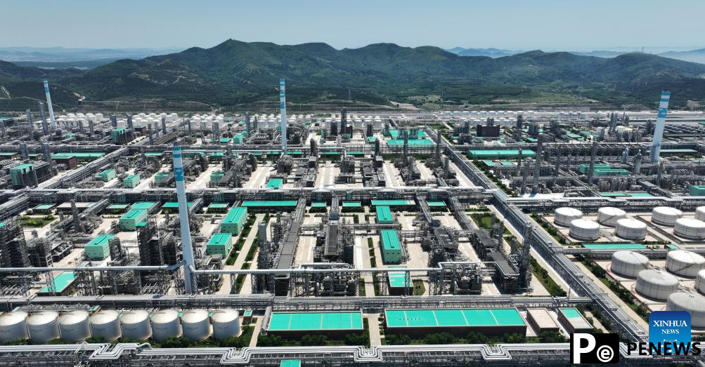 quality development of petrochemical industry