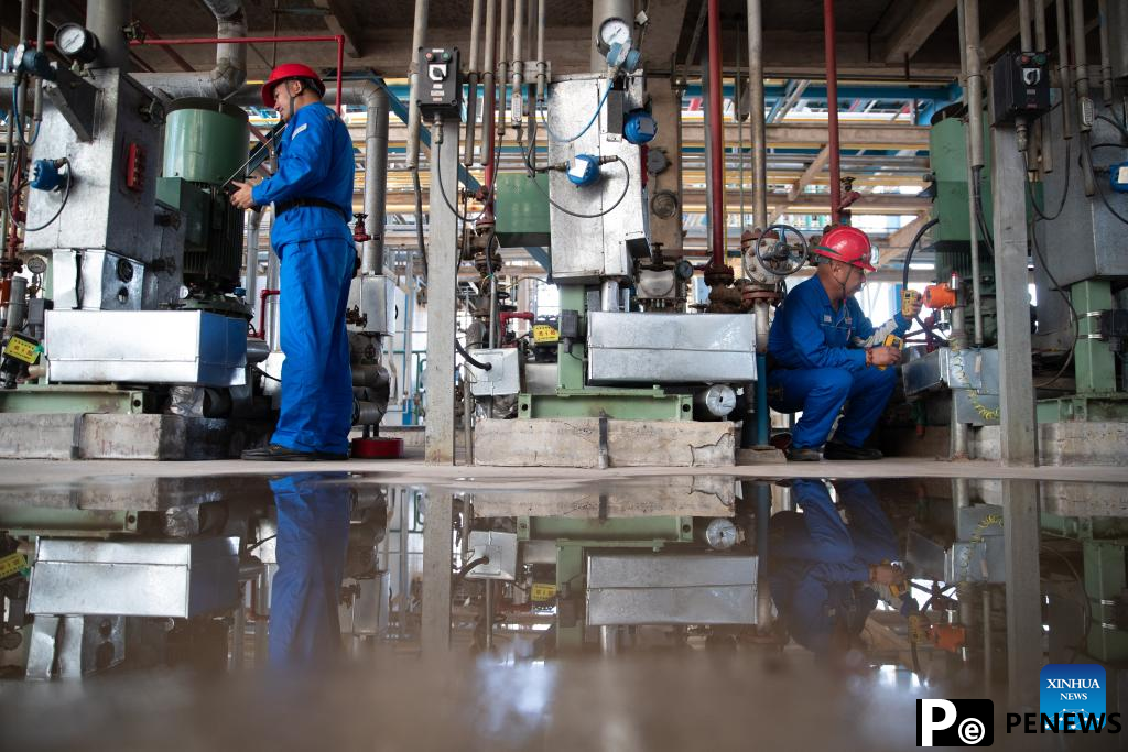 quality development of petrochemical industry