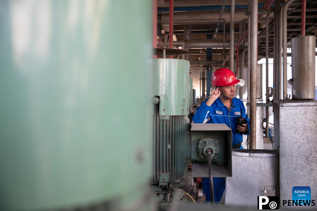 quality development of petrochemical industry