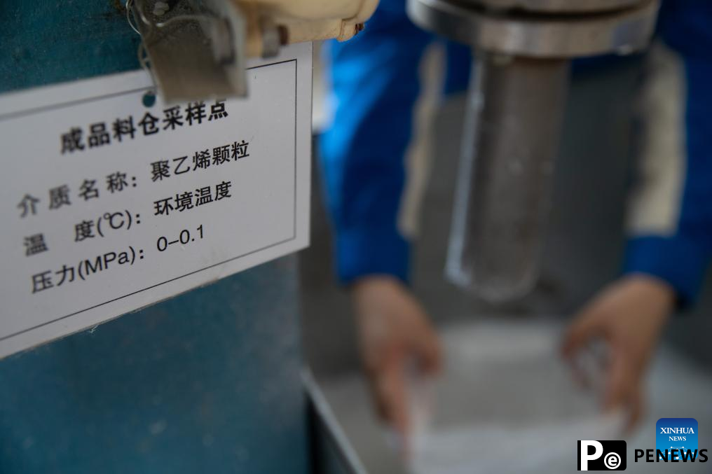 quality development of petrochemical industry