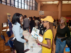 Job fair held by Chinese companies attracts local graduates in Botswana