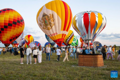 22nd ballooning festival 