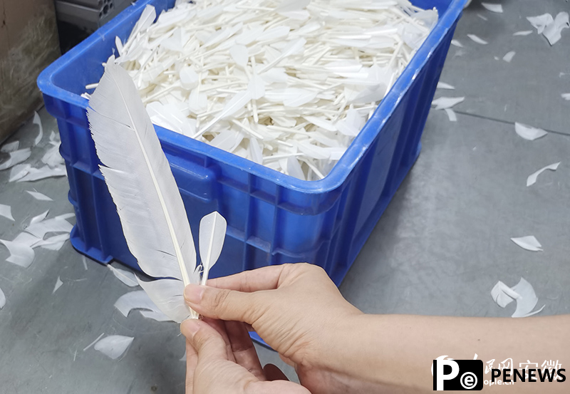 goose industry prospers in Yu’an district, China’s Anhui