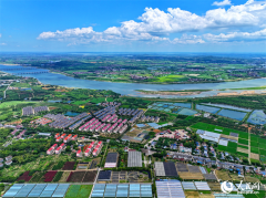 In pics: colorful rural view unfolds in E China’s Jiangxi