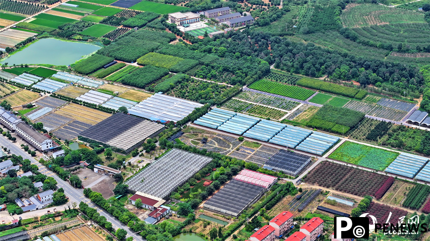 In pics: colorful rural view unfolds in E China’s Jiangxi