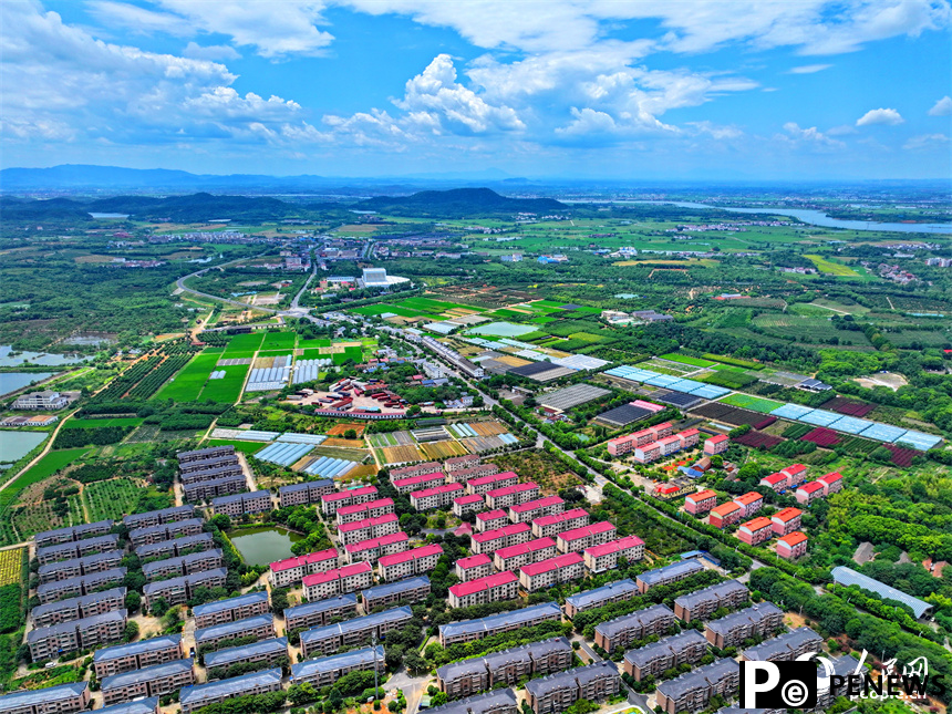 In pics: colorful rural view unfolds in E China’s Jiangxi