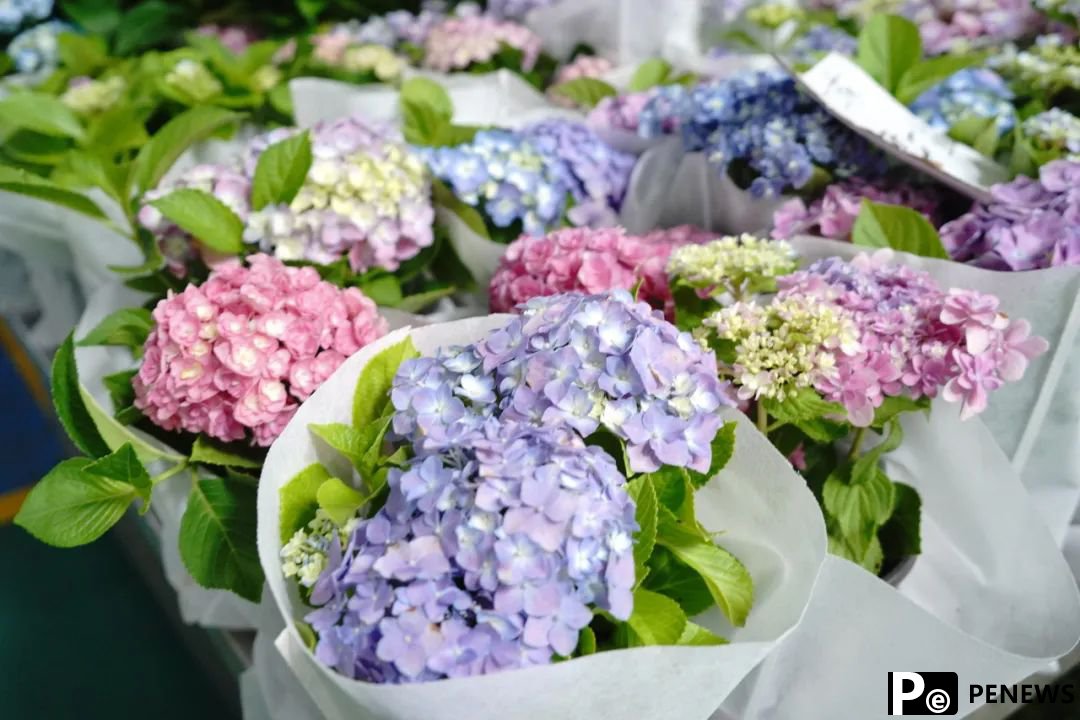 Meet Kunming South Railway Station in SW China’s Yunnan, where travelers can conveniently purchase fresh-cut flowers