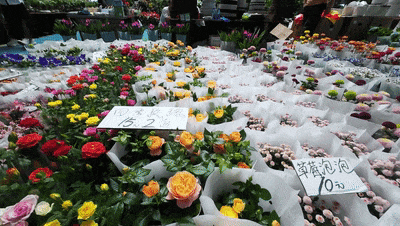 Meet Kunming South Railway Station in SW China’s Yunnan, where travelers can conveniently purchase fresh-cut flowers