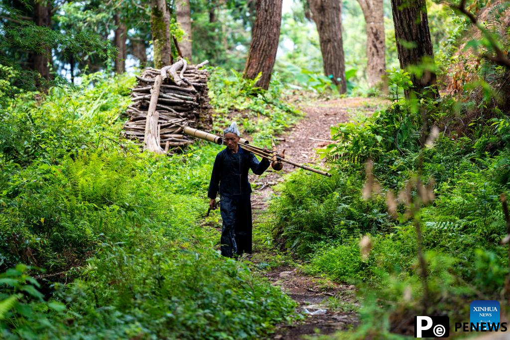 In pics: beautiful scenery, joyful life in Basha Village, SW China