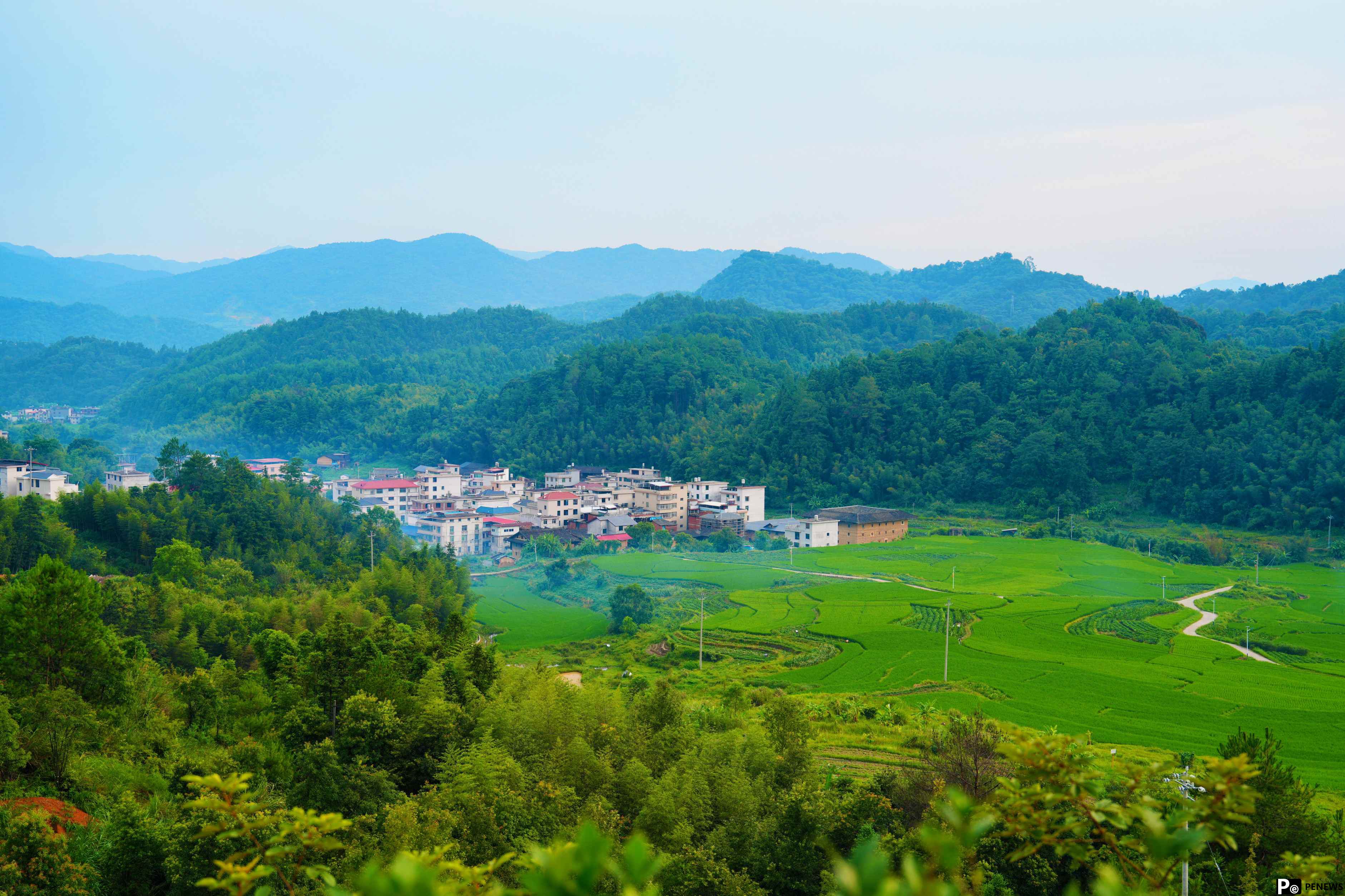 Town in SE China’s Fujian turns mining area into moth orchid greenhouses