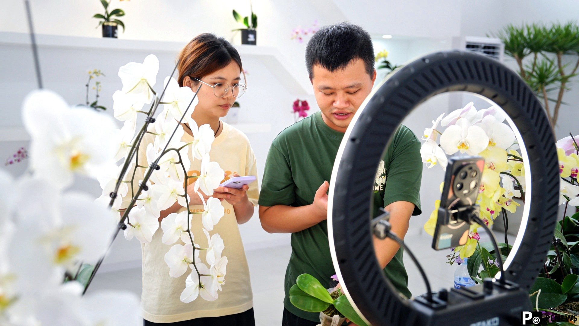 Town in SE China’s Fujian turns mining area into moth orchid greenhouses