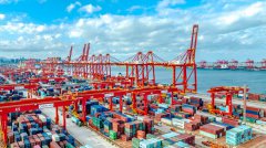 Interview: China's stable economic growth significant boon to global economy, says Brazilian expert