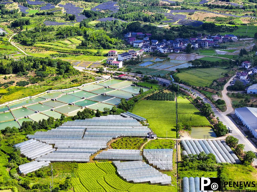 Thriving industry and beautiful countryside in E China