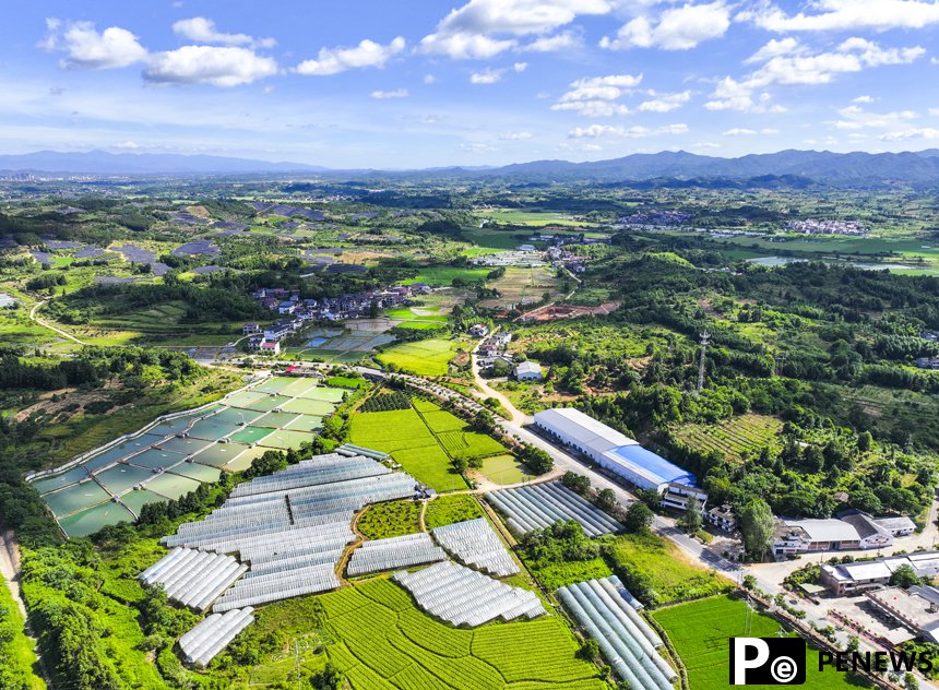 Thriving industry and beautiful countryside in E China