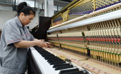 quality economic development in Suning, N China’s Hebei