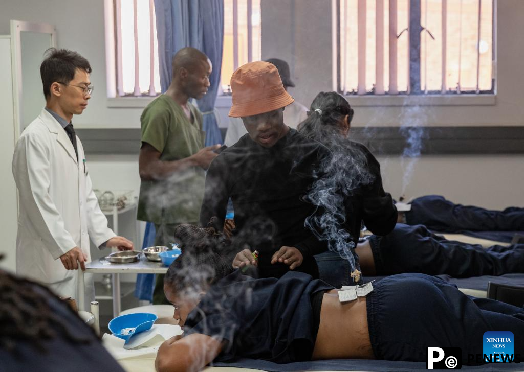 Acupuncture teacher promotes TCM in South Africa