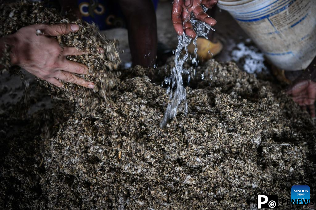 Chinese experts contribute to agricultural upgrade in Rwanda