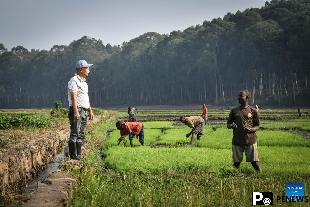 Chinese experts contribute to agricultural upgrade in Rwanda