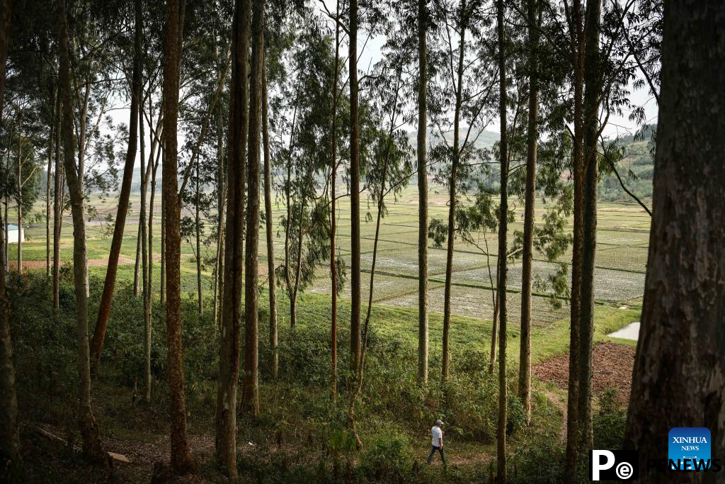 Chinese experts contribute to agricultural upgrade in Rwanda