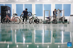 Pingxiang makes great efforts in boosting children wheels business