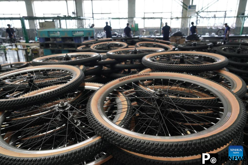 Pingxiang makes great efforts in boosting children wheels business