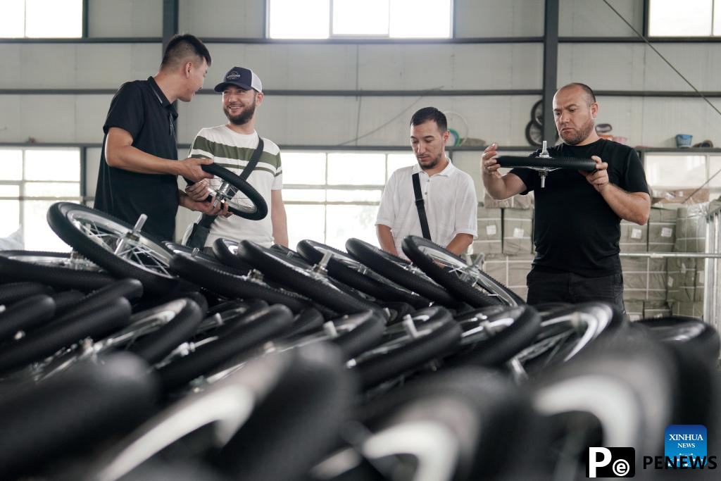 Pingxiang makes great efforts in boosting children wheels business