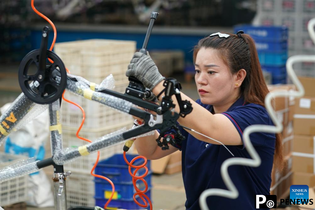Pingxiang makes great efforts in boosting children wheels business