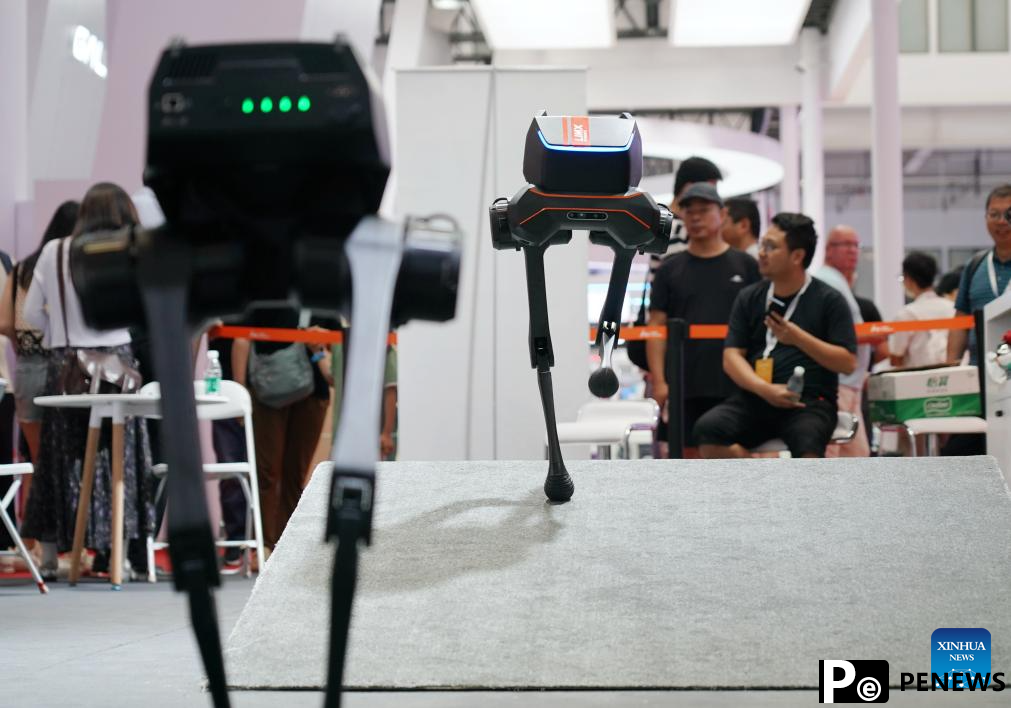 World Robot Conference 2024 opens in Beijing