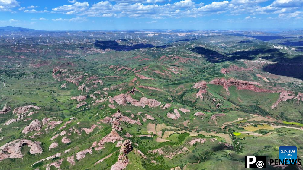 Scenery of Danxia landform in Ningxia, NW China