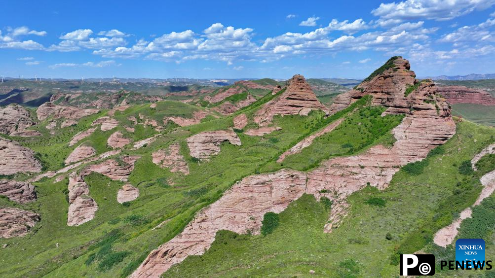 Scenery of Danxia landform in Ningxia, NW China