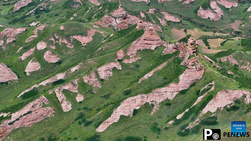 Scenery of Danxia landform in Ningxia, NW China
