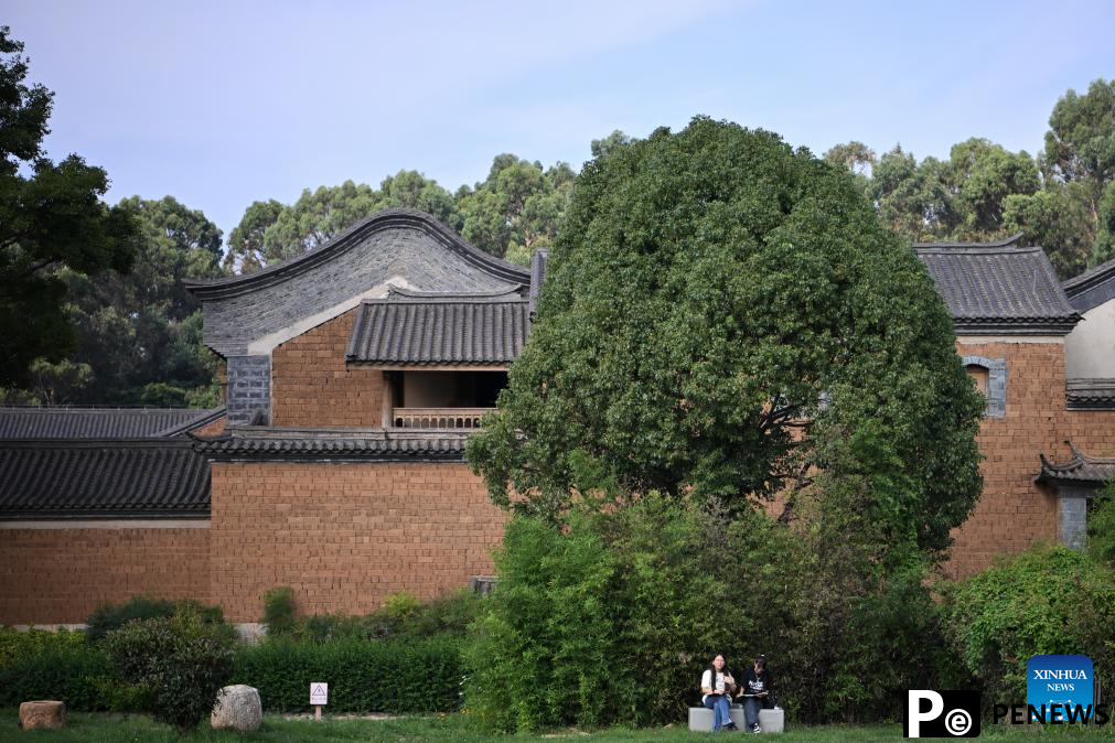 Wolong ancient village showcases restoration and ecotourism efforts in Yunnan
