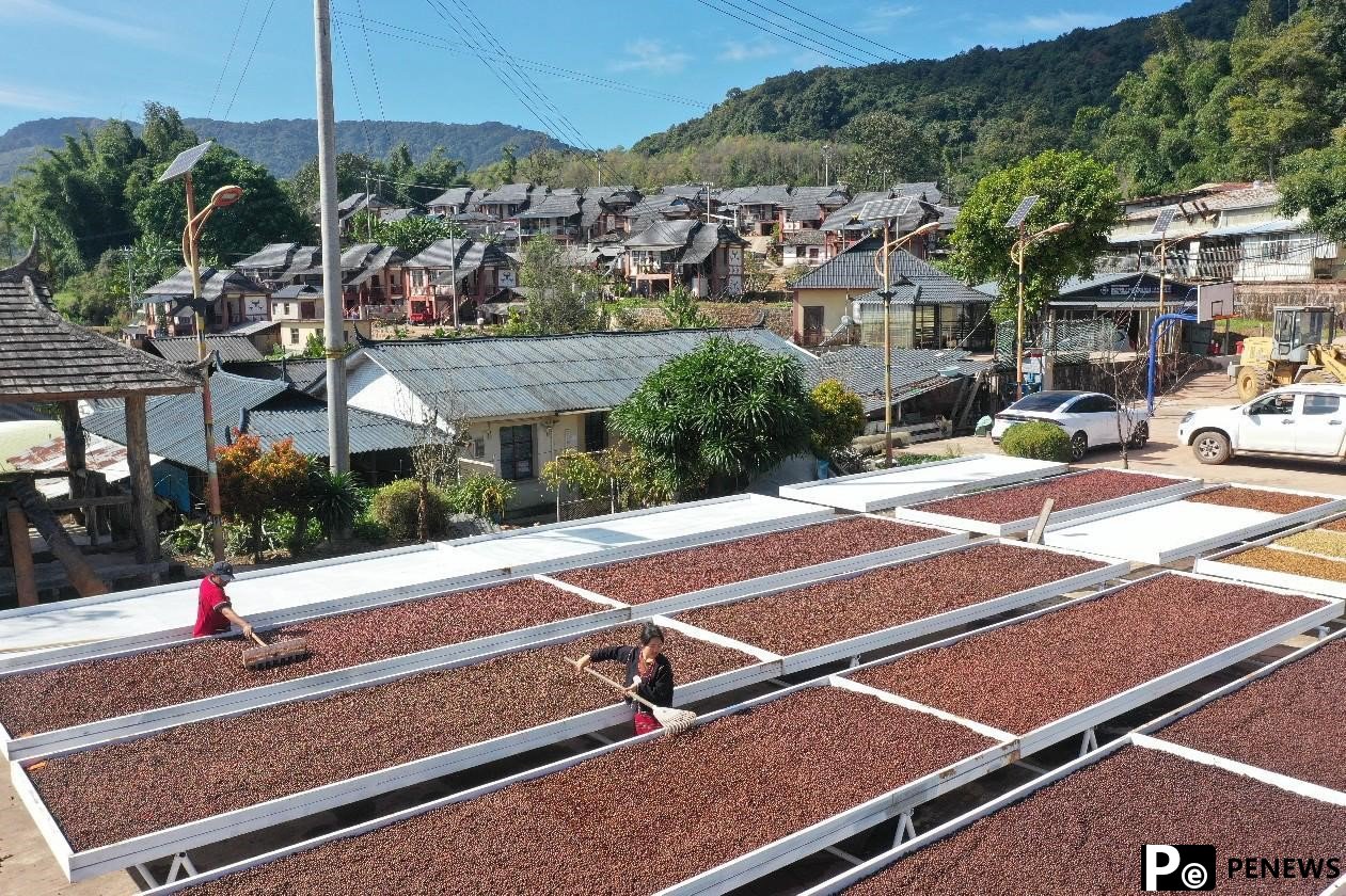 China: a rising star in global coffee industry