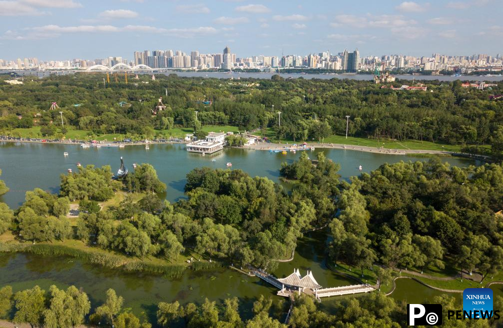 In pics: Taiyangdao National Wetland Park in Harbin, NE China