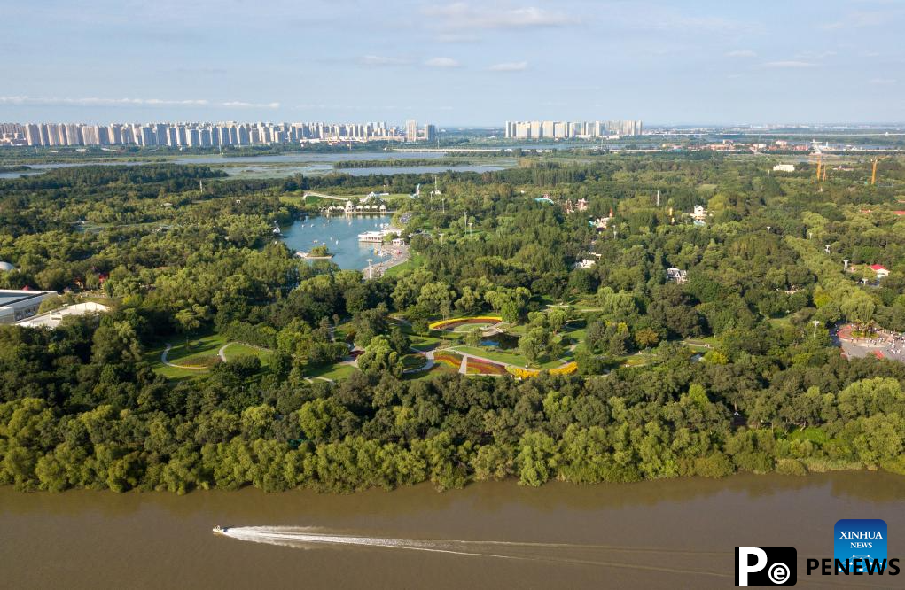 In pics: Taiyangdao National Wetland Park in Harbin, NE China