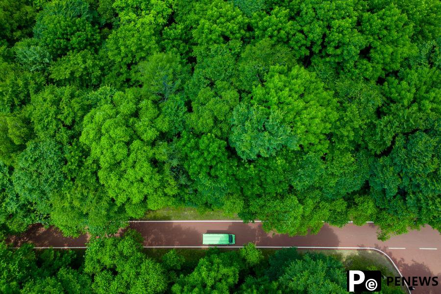 Northeast China turns cool resources into summer tourism gold